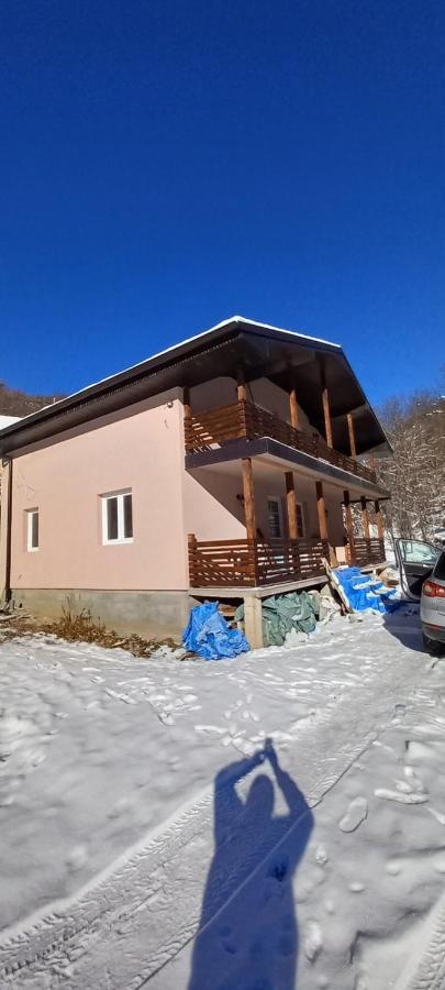 Vila Nika Crni Vrh ภายนอก รูปภาพ